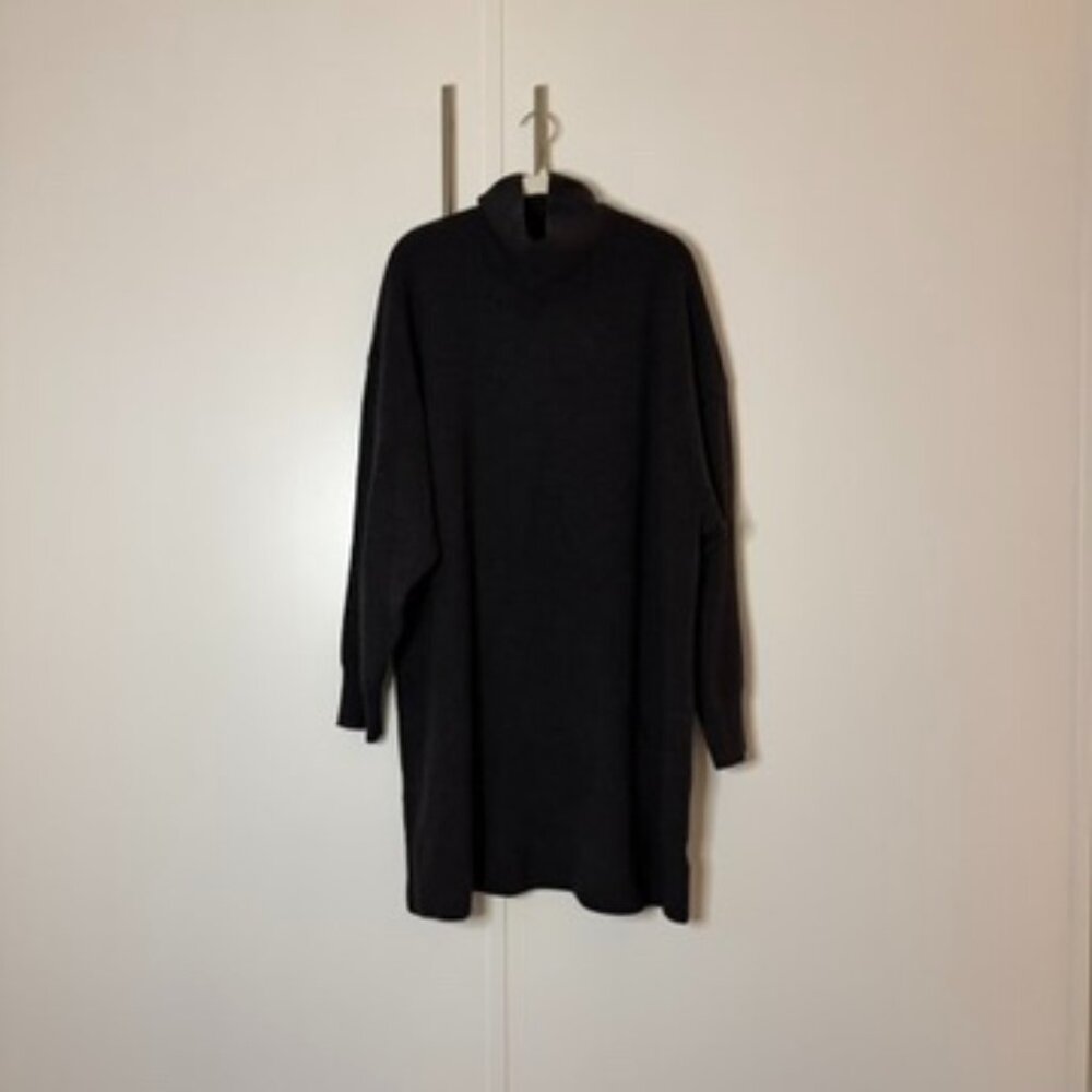 Aritzia Turtleneck Sweater dress